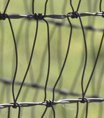 V-Mesh Fence